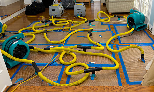 Professional Crawl Space Water Removal technician working in Brice, OH